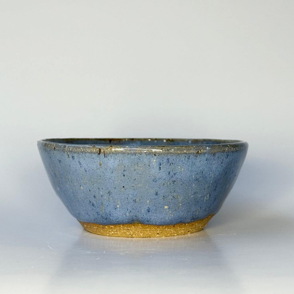 Mini Succulent Pot - Blue